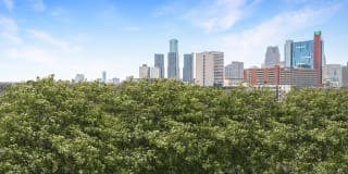 Pavilion Apartments Pavilion Apartments Gallery 64