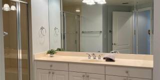 10 PAPAYA STREET Gallery 13