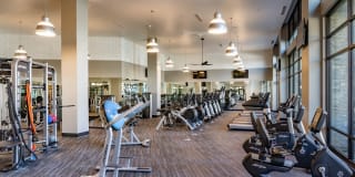 The Asher Gallery 12