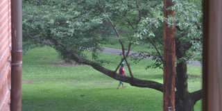 311 Greene St Gallery 5