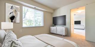 Tuscarora Creek Gallery 5