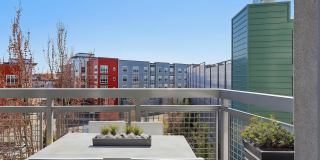 The Batch Yard Gallery 12