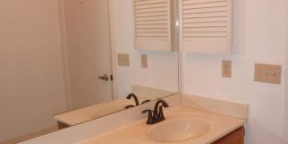 11524 PUMPKIN SEED COURT Gallery 15