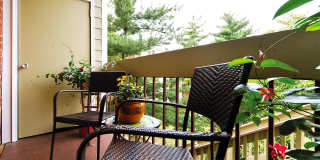 Foxchase Apartments Gallery 17