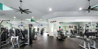539 HEDGEWOOD Drive Gallery 41