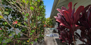 ***Pines II 2 Bedroom 2 Bath Unfurnished Rental*** Gallery 15