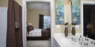 Ibis Trail Gallery 4