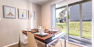 TGM Autumn Woods Gallery 2