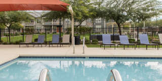 Ironwood at Happy Valley Gallery 11