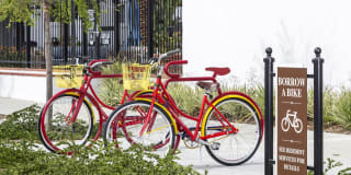 Homecoming at The Preserve Gallery 63