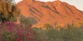 16715 N 108TH Way Gallery 2