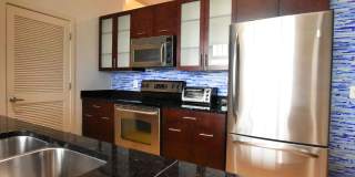 Chic, Contemporary 1 BD 1.5 BA Condo in the Mount Pleasant neighborhood of NW DC!! Gallery 5