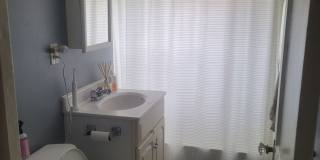 Spacious Brighton 3-Bedroom with Garage Parking Gallery 9