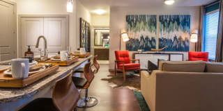 Astor at Tanglewood Gallery 19