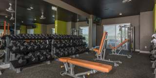 Abbey at Dominion Crossing Gallery 8