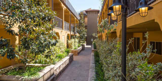 The Verandas Gallery 38