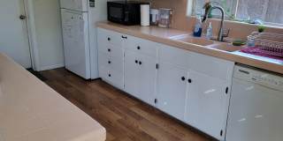 AUGUST 2026 SDSU AREA HOME - 4 bedrooms / 3 bath - With Big yard on Canyon! Gallery 34