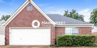 9595 Chi Chi Lane Gallery 1