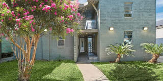 Studio for Rent! Studio for Rent! Gallery 1