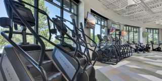 Palomino Park Resort Gallery 13