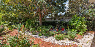 17812 Parthenia Street Gallery 38