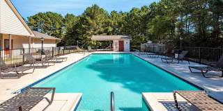 Meadow Wood Gallery 24