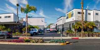 Santa Monica Palms Gallery 16