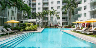 Pearl Dadeland Gallery 25