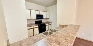 1141 S Tottenham Court Gallery 9