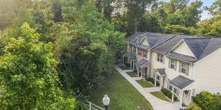 Welcome to Acorn Forest! Gallery 20