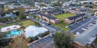 Sea Oats Sea Oats Gallery 5