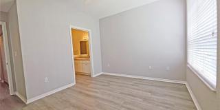 9018 LAKE CHASE ISLAND Way 9018 LAKE CHASE ISLAND Way Gallery 12