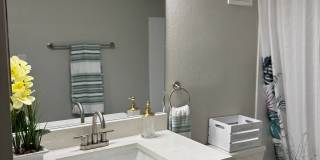 Palms of Clearwater Gallery 72