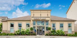 Brook Lane Gallery 29