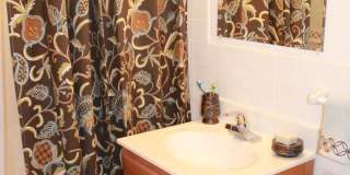 Willows on France Gallery 24