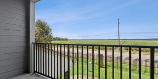 Bayou Reserve Gallery 11