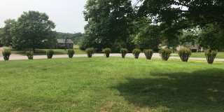 3 Bedroom Pet Friendly Home For Rent! Gallery 4