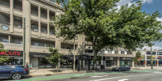 The Atrium on Commonwealth Gallery 15