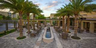 Imperial Palms Gallery 45