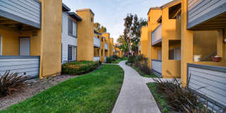 River Ranch Gallery 29