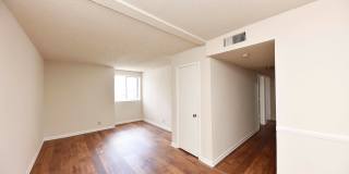 Noah's Landing Gallery 4