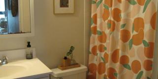 45 Trowbridge Gallery 8