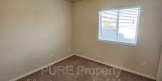3004 Calla Lilly Gallery 18