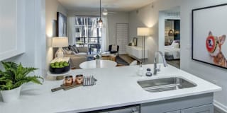 Solmar on Sixth Solmar on Sixth Gallery 11