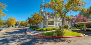 Bristle Pointe Gallery 26