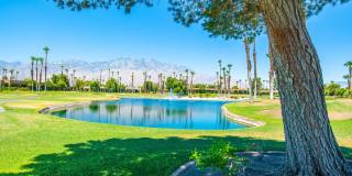 28859 Desert Princess Drive Gallery 27