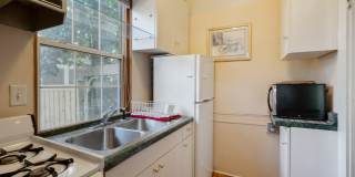 3914 HERSCHEL Street Gallery 8