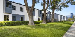 Ascot Park Apartments Gallery 2