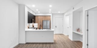 Orlo & Alba Gallery 52