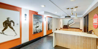 Sage at Panorama Gallery 15